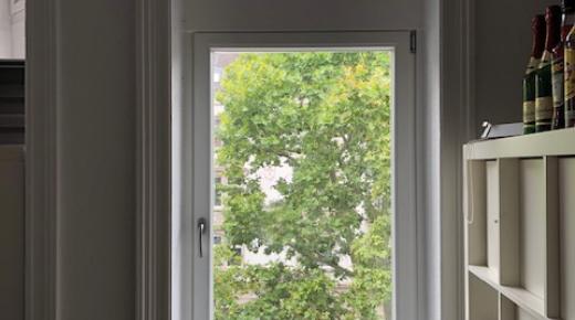 Eukalyptus Holz-Fenster PaXretro68