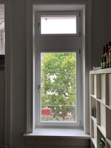 Eukalyptus Holz-Fenster PaXretro68